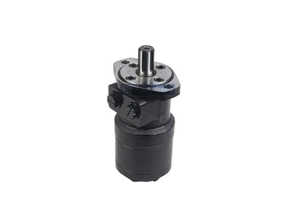BMRS Series Orbit Hydraulic Motor | 250cc Displacement, SAE 2-Bolt, 1
