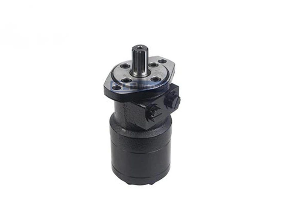 BMRS Series Orbit Hydraulic Motor | 250cc Displacement, SAE 2-Bolt, 1