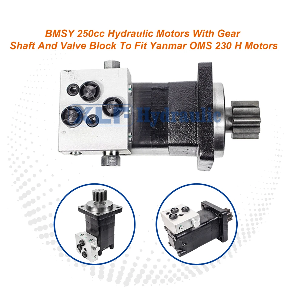 BMSY 250cc motè idwolik ak arbr Kovèti pou ak blòk valv konpatib ak motè Yanmar OMS 230 H